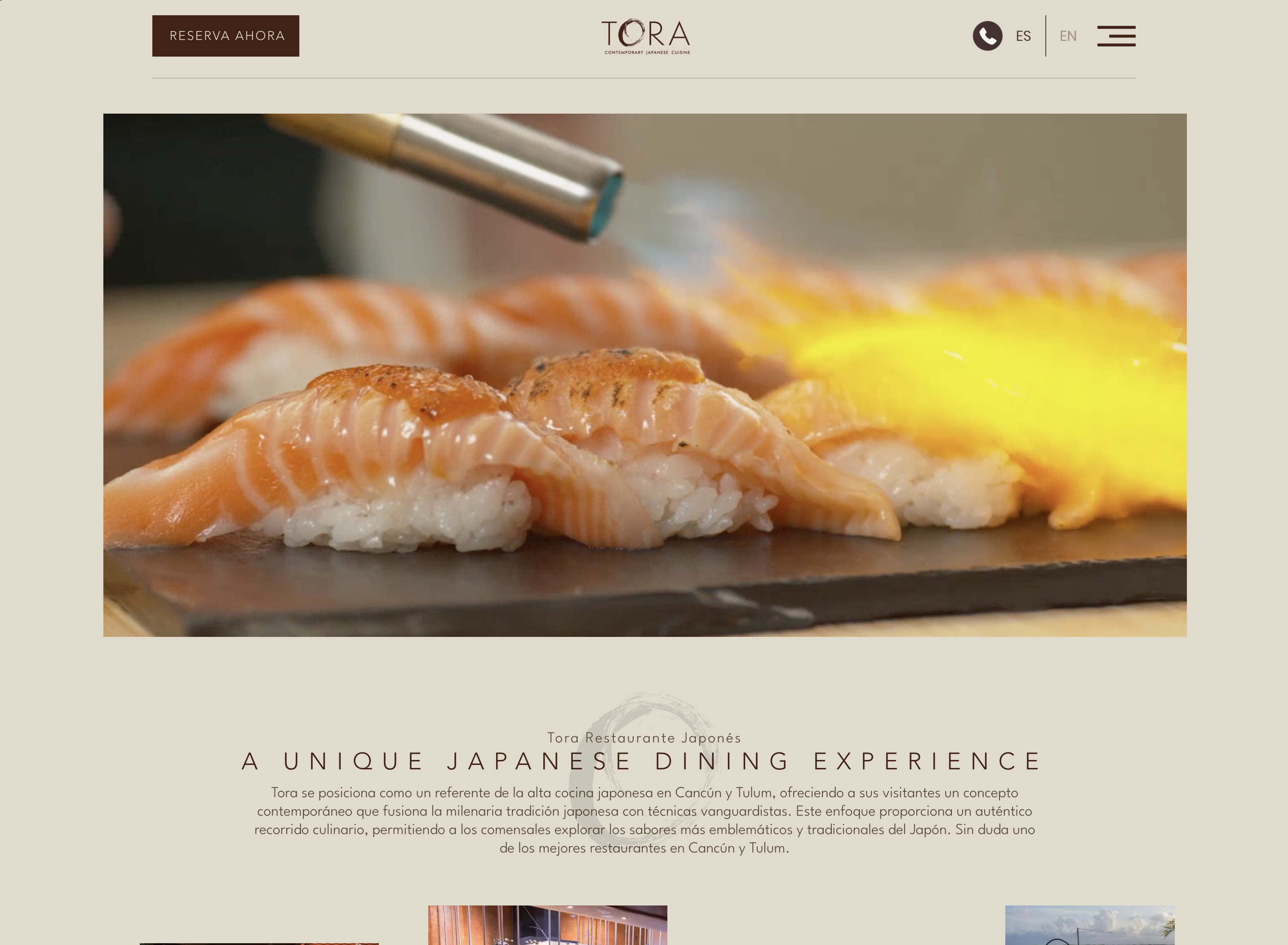 Tora Restaurant Website Preview